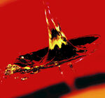 红色液体飞溅瞬间