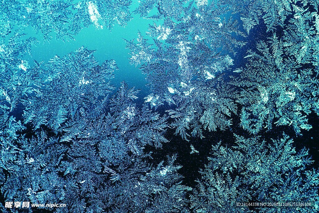 梦幻蓝色冰晶世界