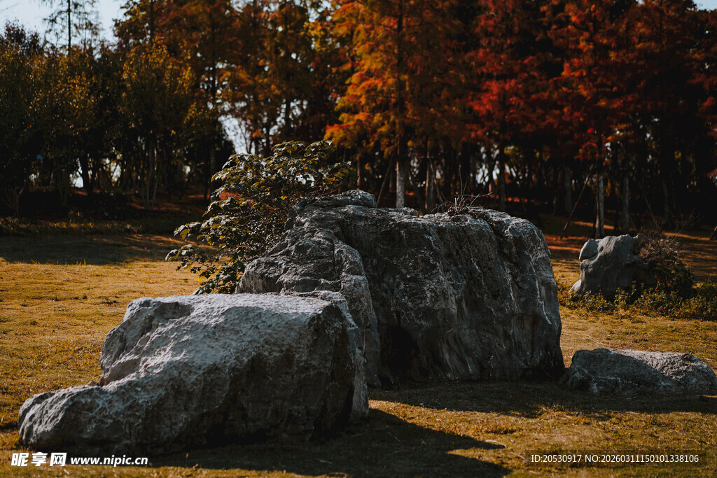 合肥植物园场景拍摄