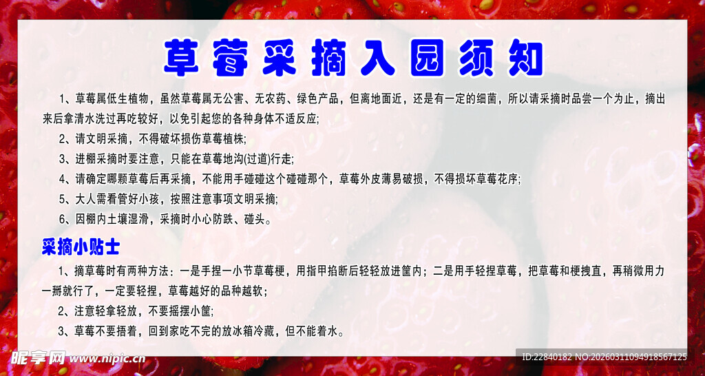 草莓采摘须知
