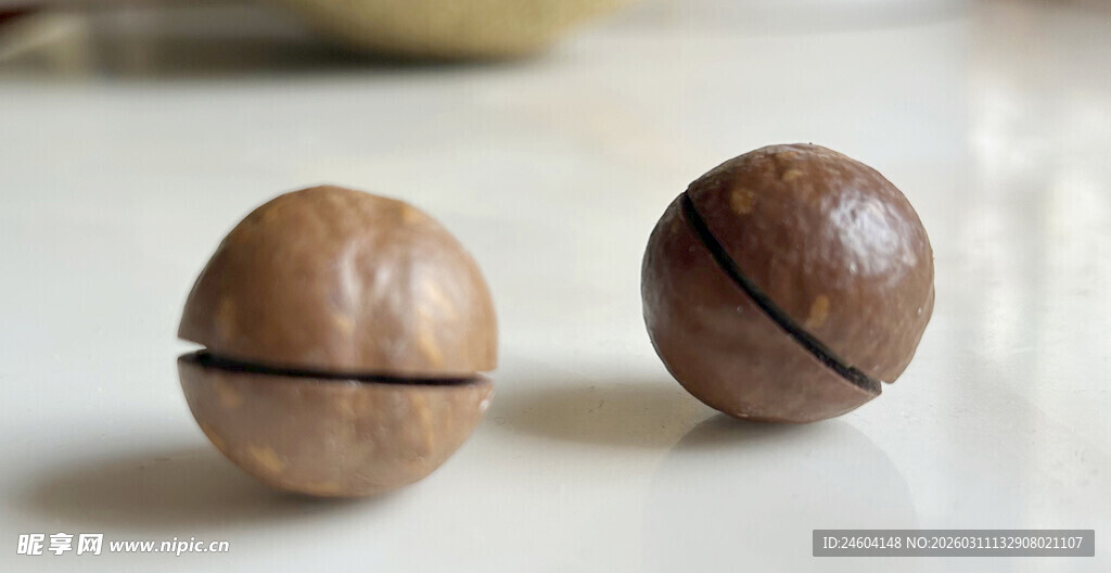 两颗夏威夷果特写