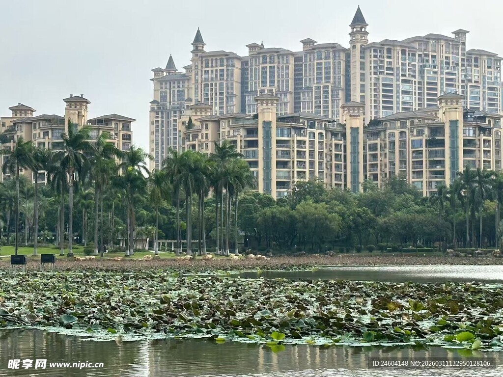 湖畔欧式建筑群与荷塘景观