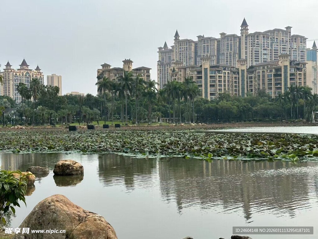 湖畔高楼旁的静谧水景