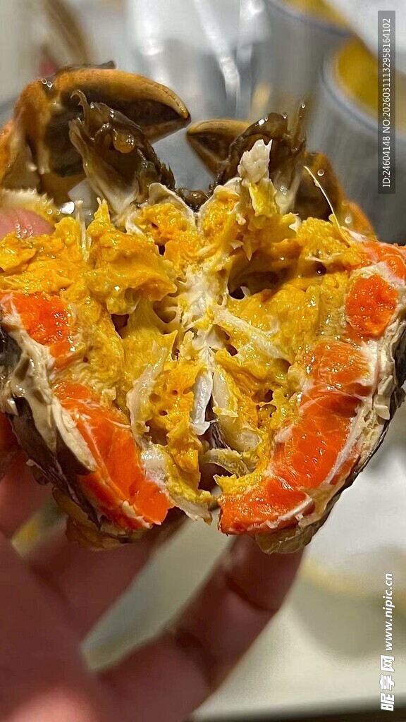 掰开的肥美大闸蟹