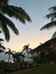 黄昏下的热带棕榈景观