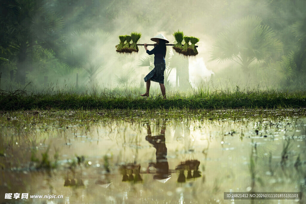 雨中挑担农夫的田园身影