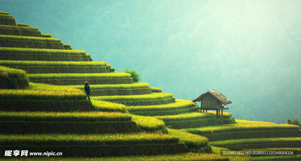 山间梯田美景