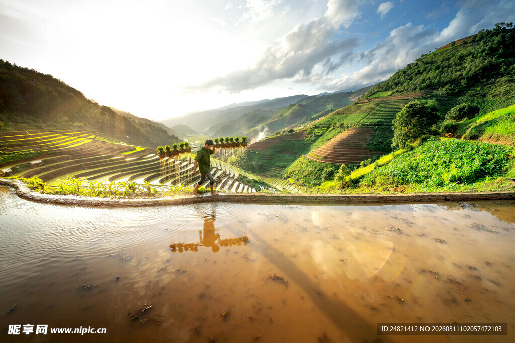 山间水田的独行者