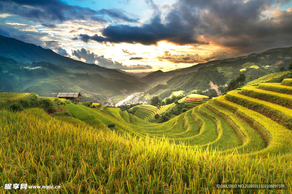 山间梯田美景