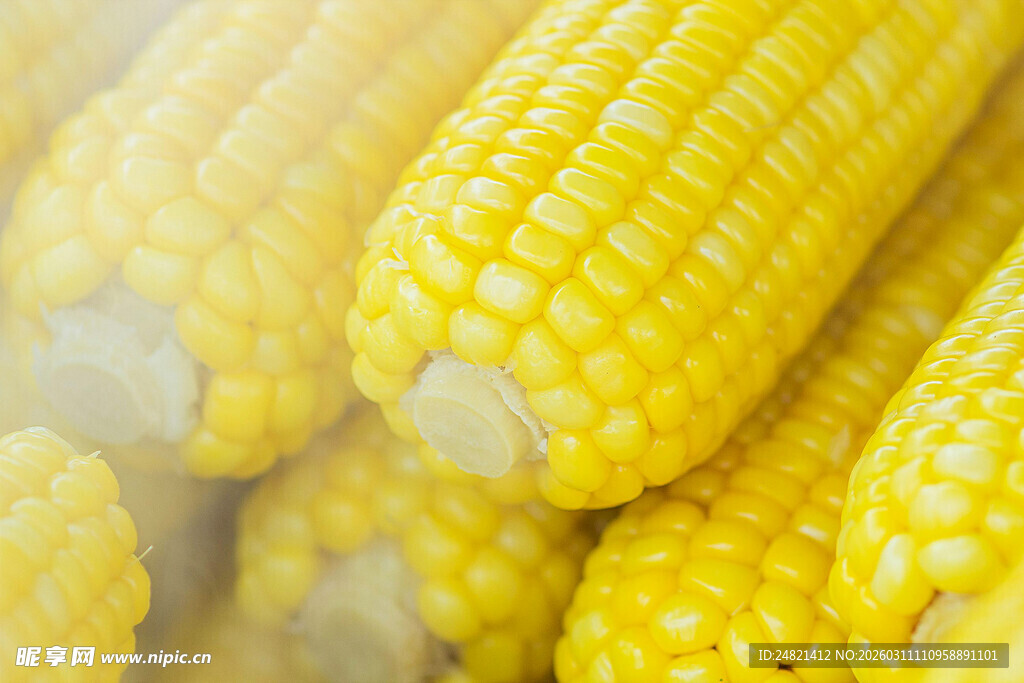 新鲜黄玉米