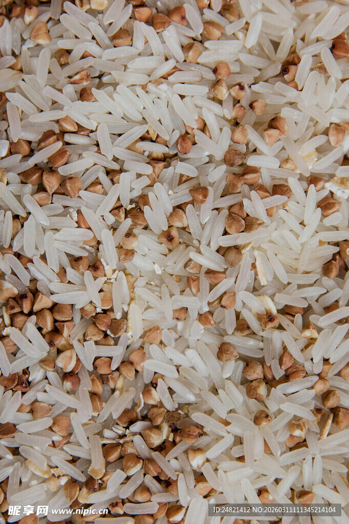 糙米与白米混合的谷物画面