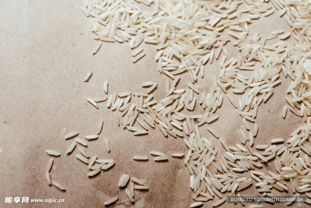 散落的白米粒特写