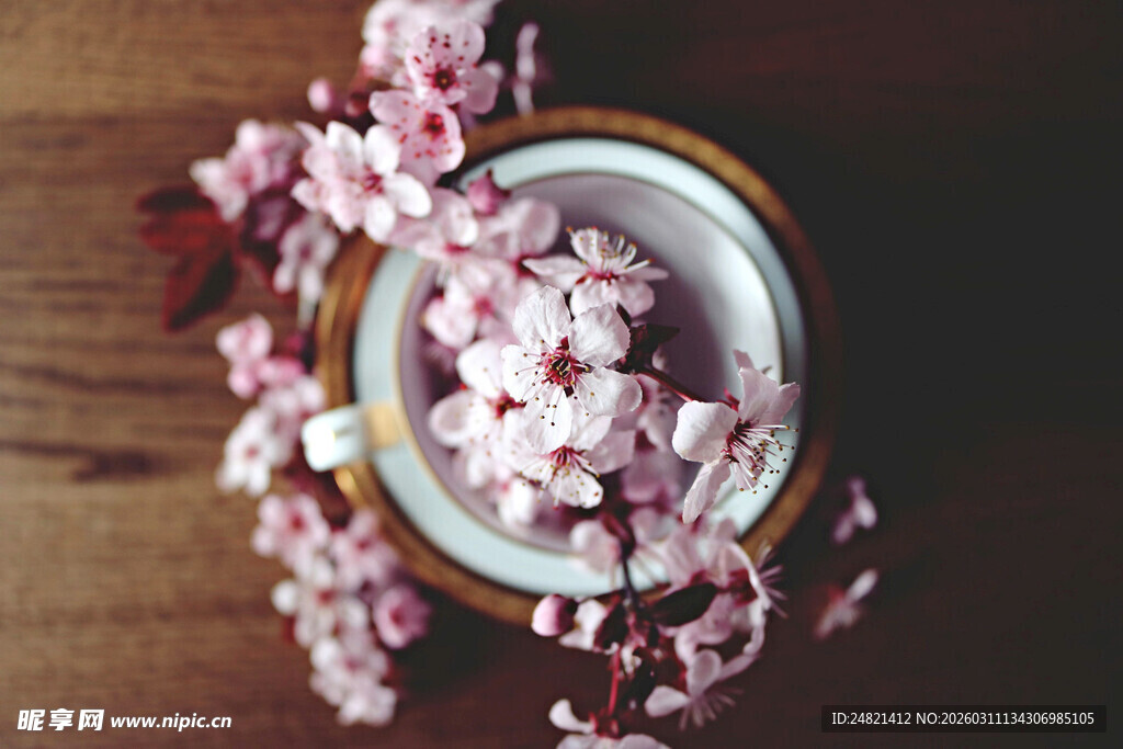 杯中盛放的烂漫樱花