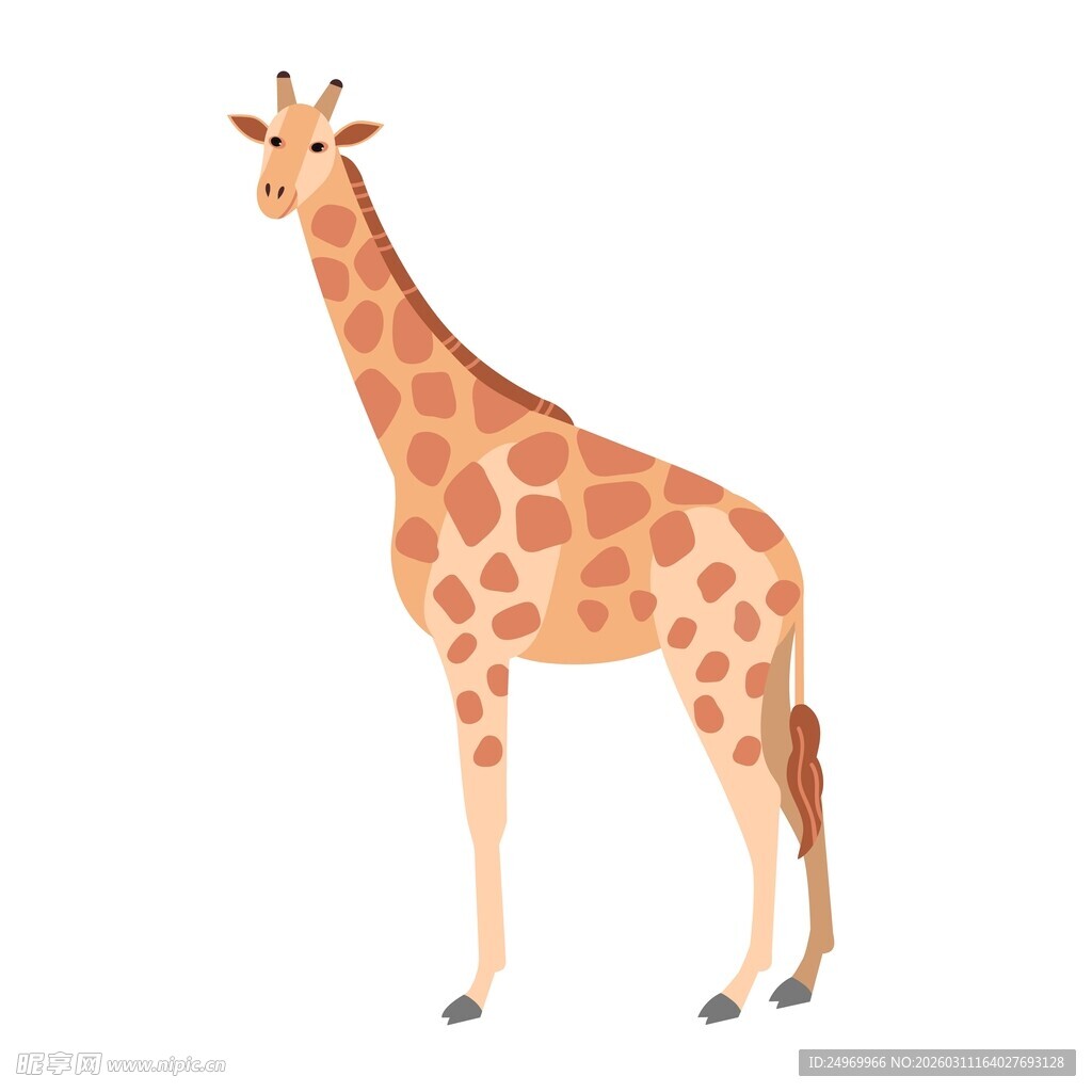 站立的长颈鹿插画