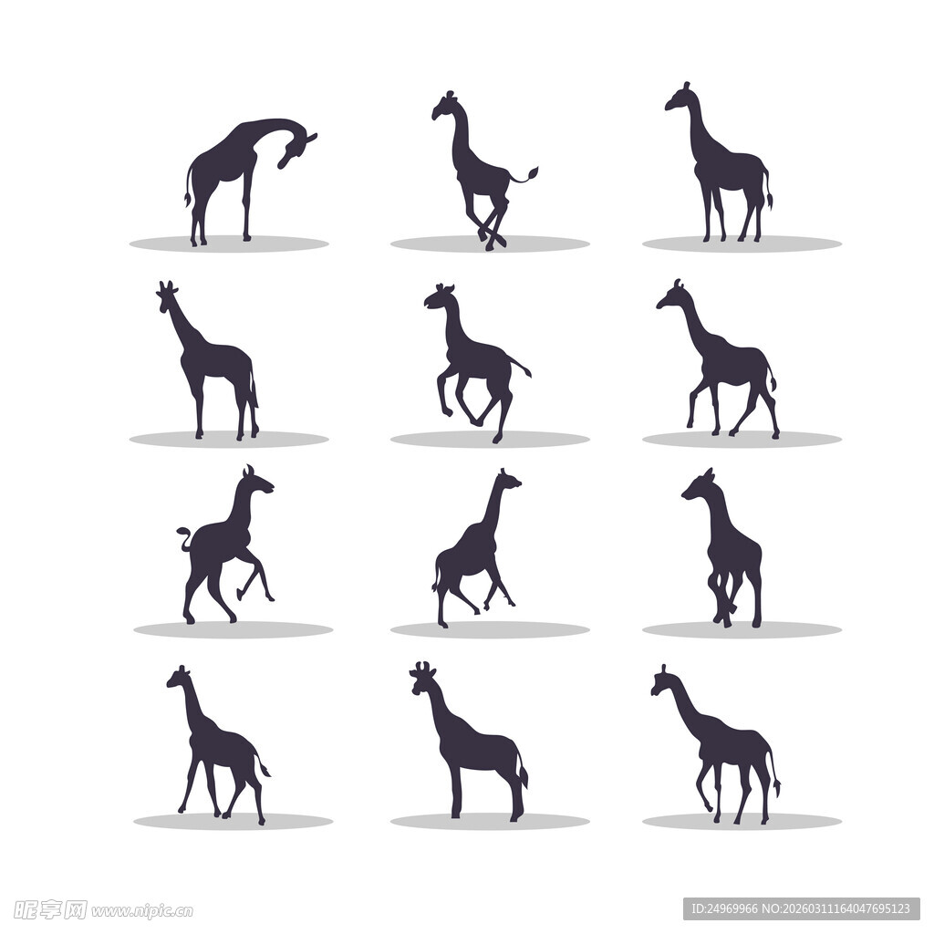 长颈鹿多样姿态剪影