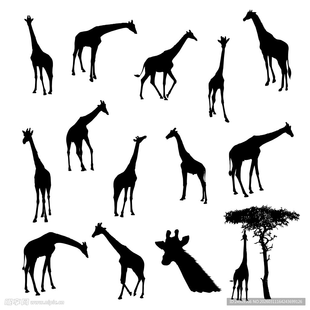长颈鹿剪影图案集合