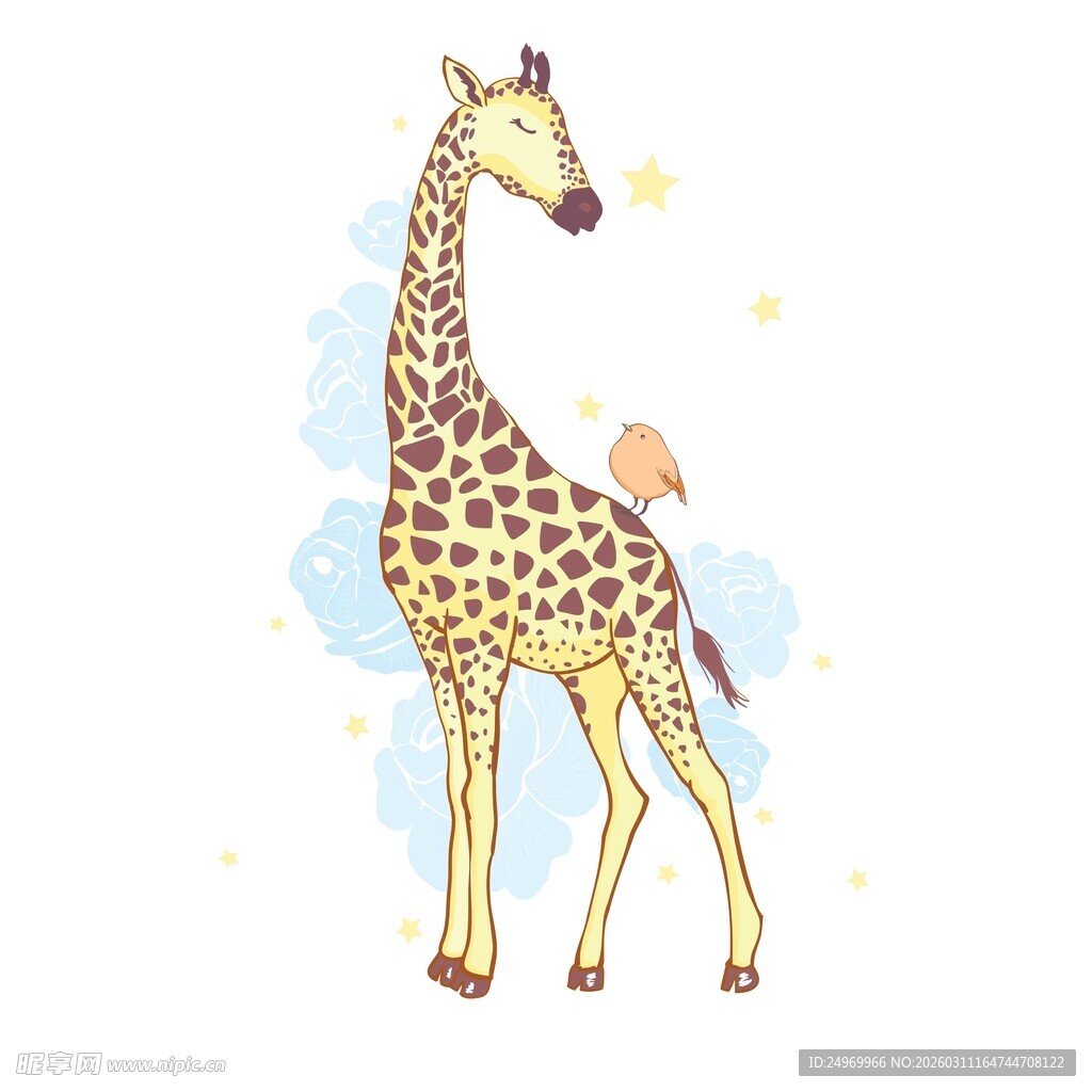 长颈鹿与小鸟的温馨画面