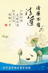 清廉荷花图