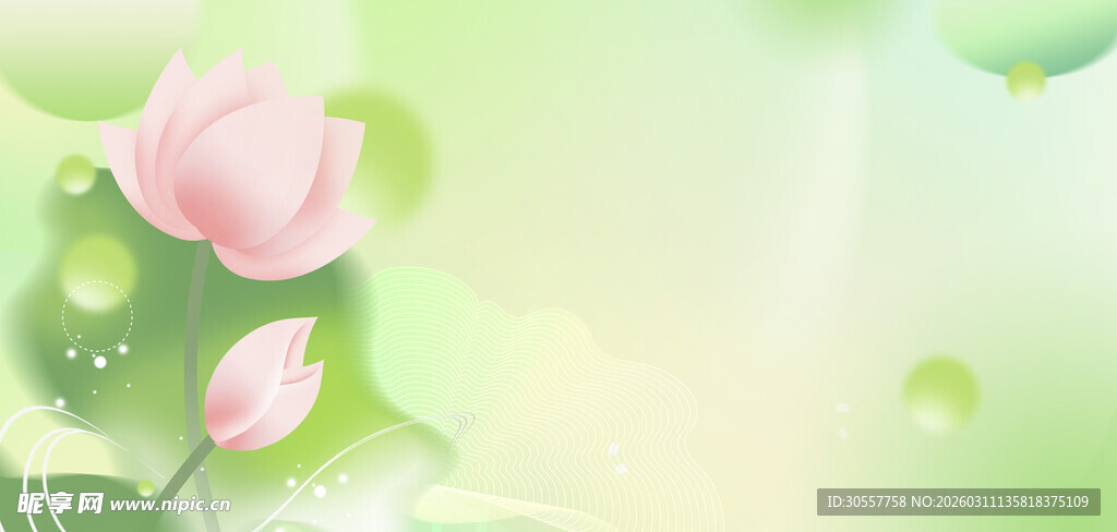 立夏荷叶荷花绿色弥散风背景