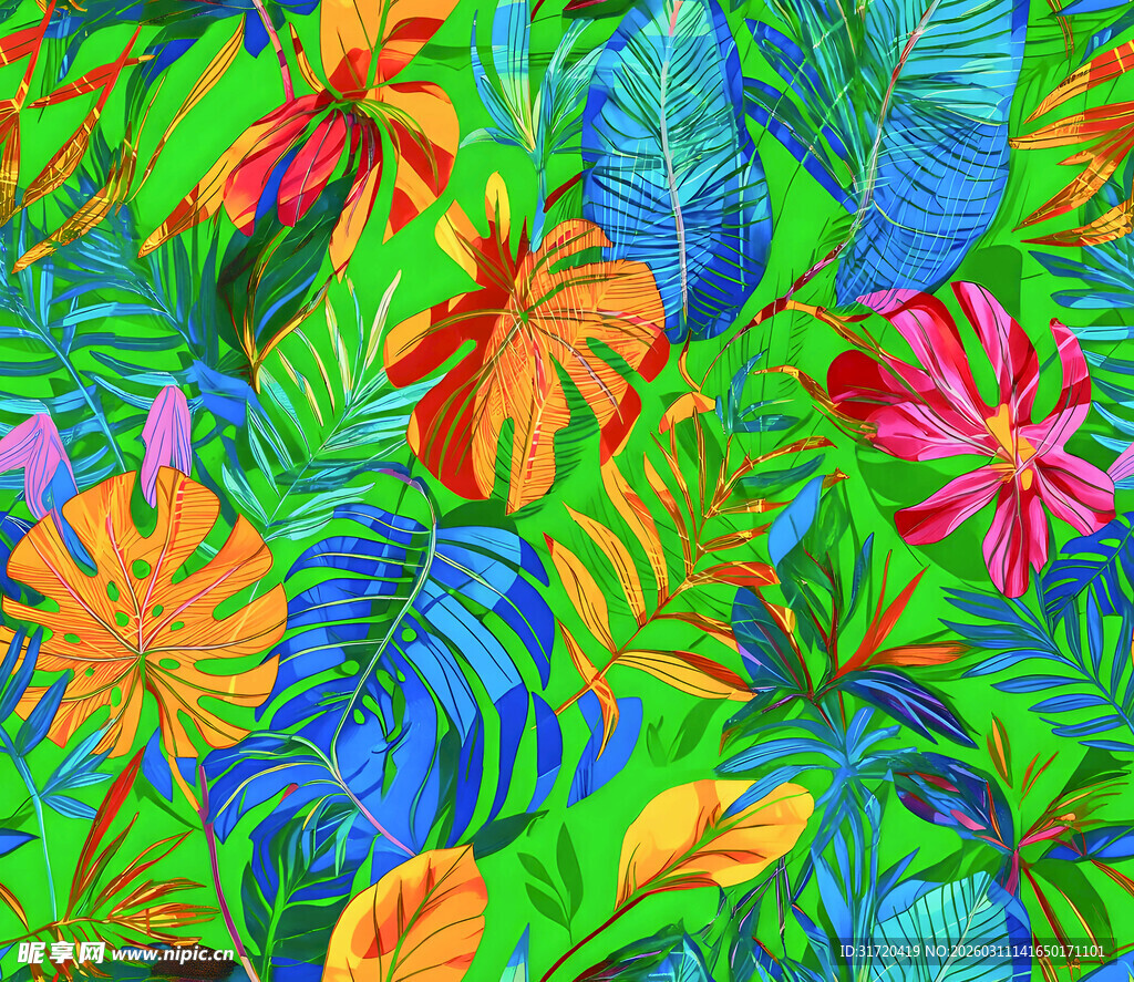 热带多彩植物插画