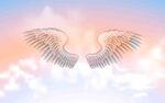 梦幻天使翅膀翱翔云端