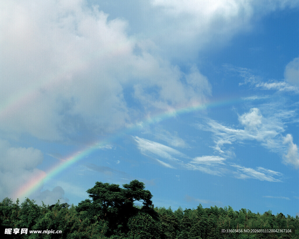 蓝天绿树间的绚丽彩虹