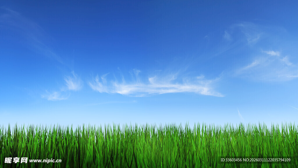 蓝天绿草