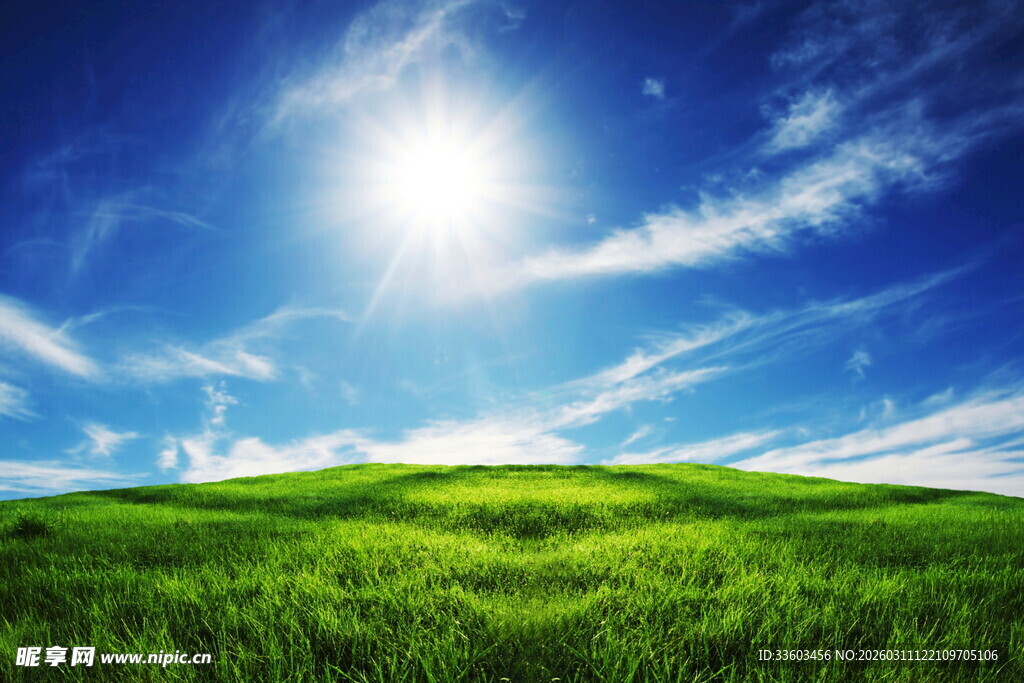 蓝天绿地间的明媚风光