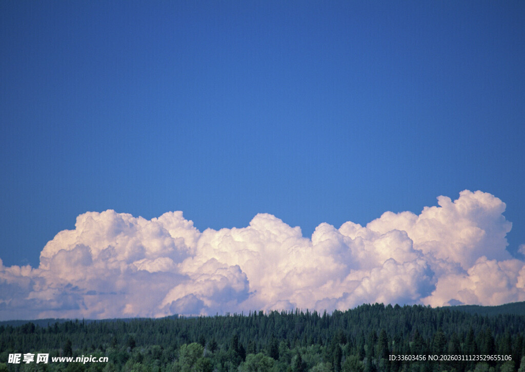 蓝天之下的森林与白云