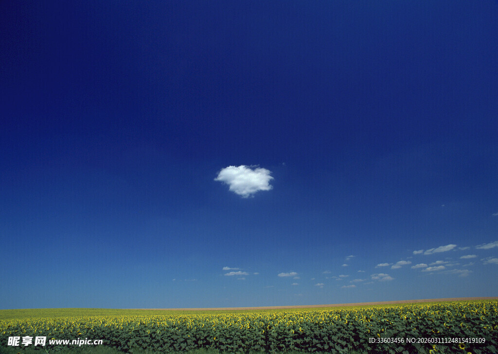 蓝天绿野间的白云景致