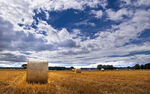田野中的干草卷与蓝天白云