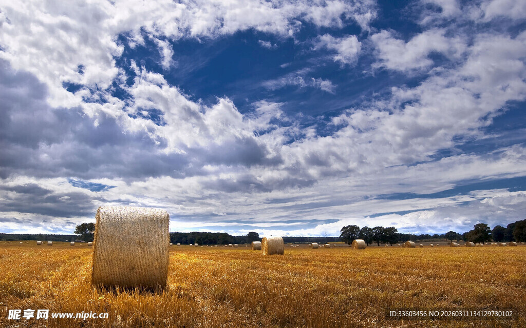 田野中的干草卷与蓝天白云