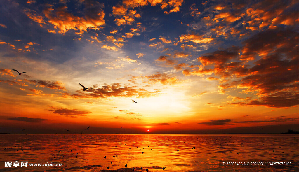 海上壮丽日落美景