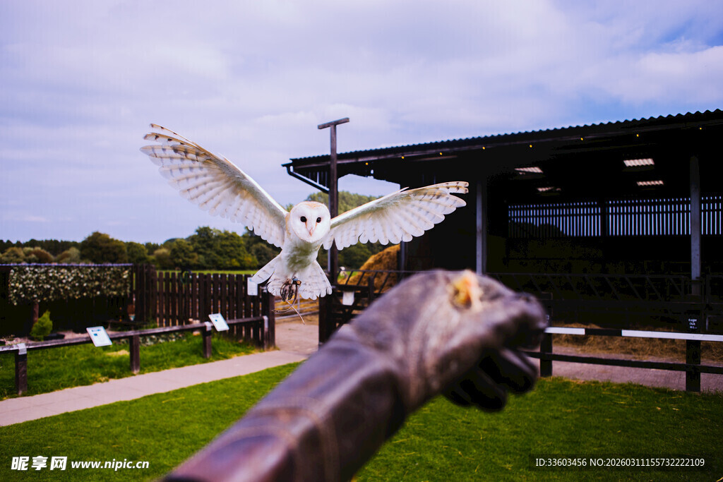 户外巨型恐龙雕塑景观