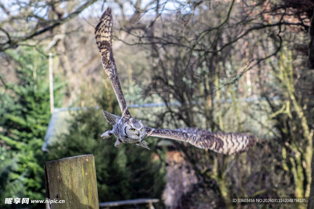 花园中的独特铁艺雕塑