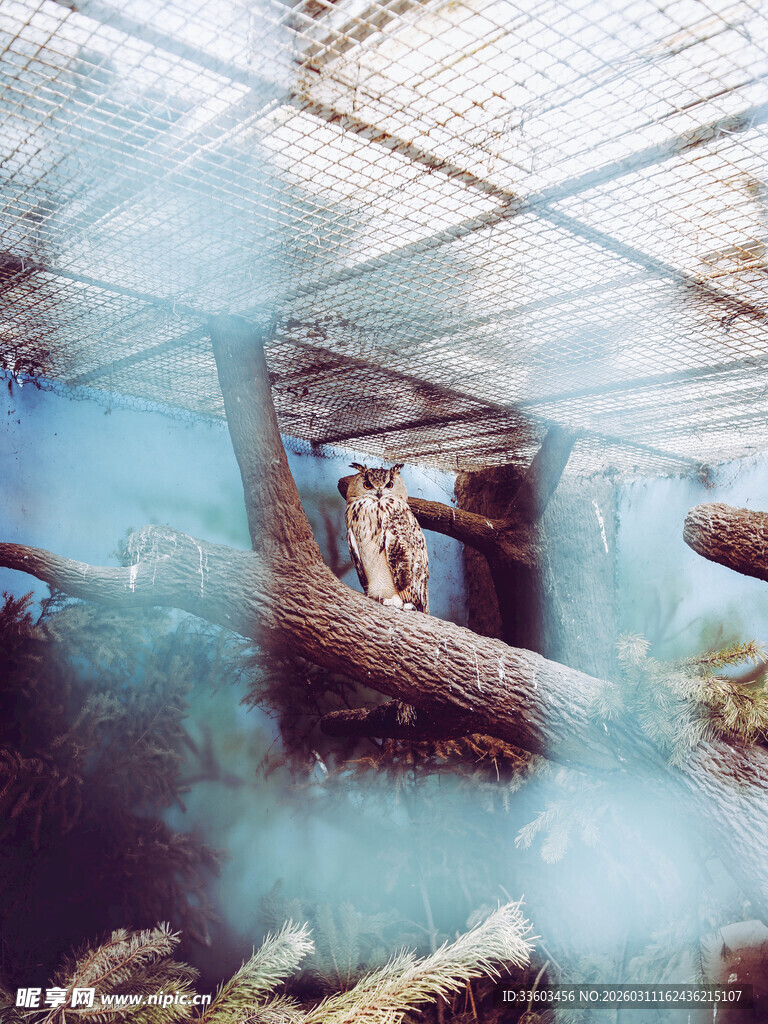 温室中弥漫雾气的场景