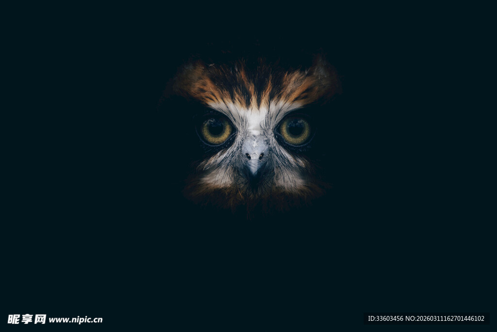 抽象炫彩视觉艺术图案