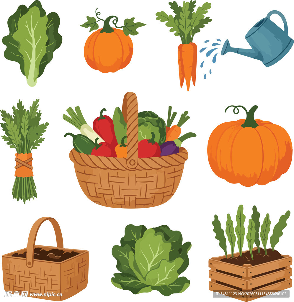 蔬菜插画