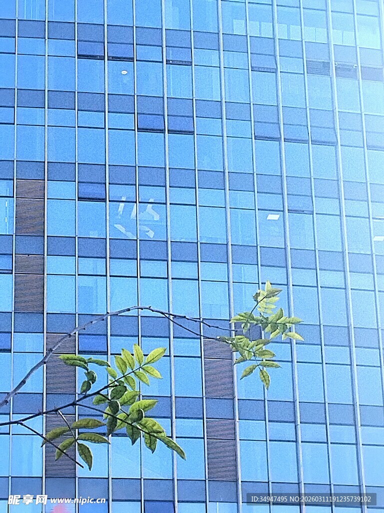 现代玻璃幕墙建筑与绿植