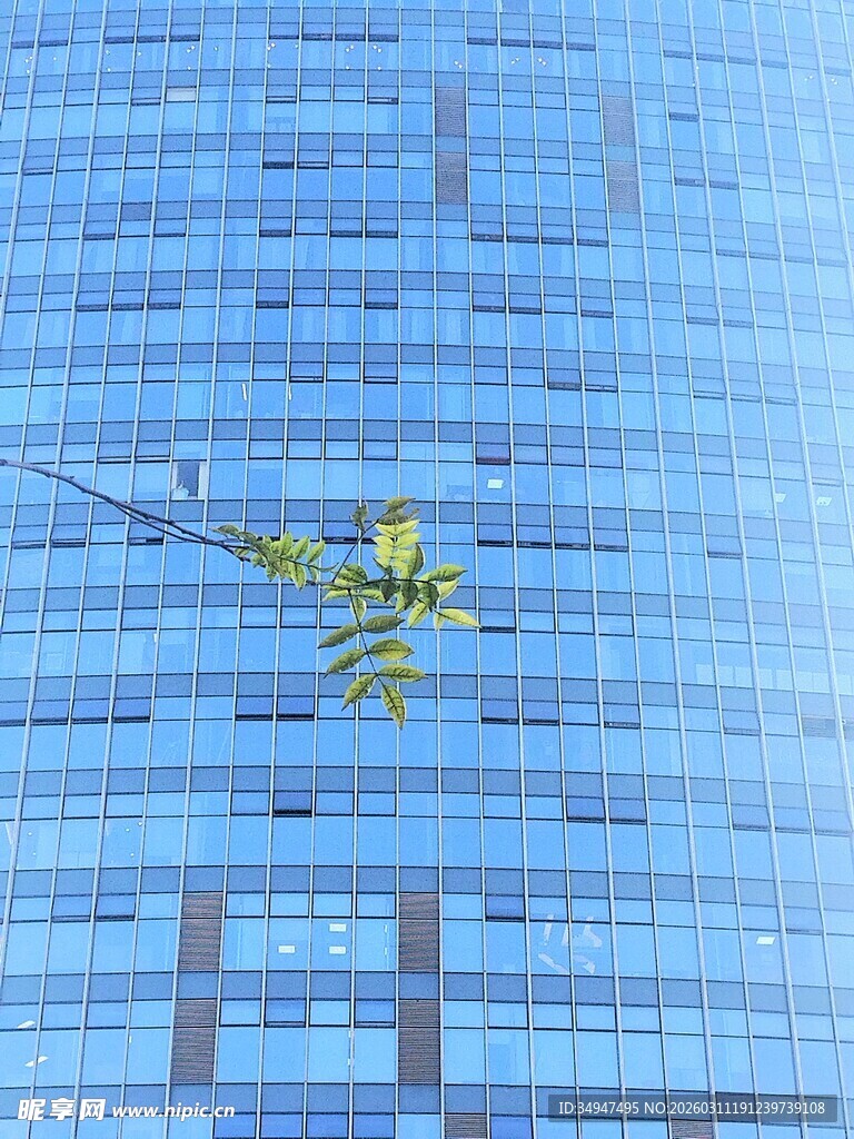 高楼外的翠绿树