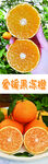 果冻橙