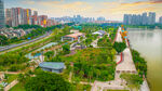 城市河畔公园美景