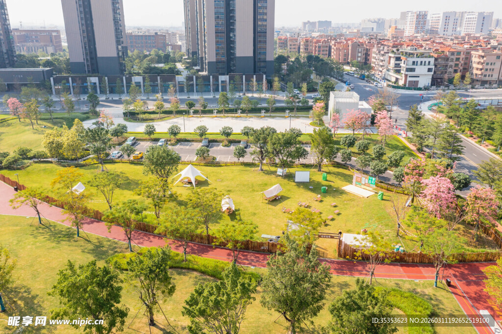 城市中的绿意盎然公园景观