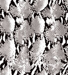 黑白抽象纹理图案