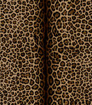 豹纹皮革纹理特写