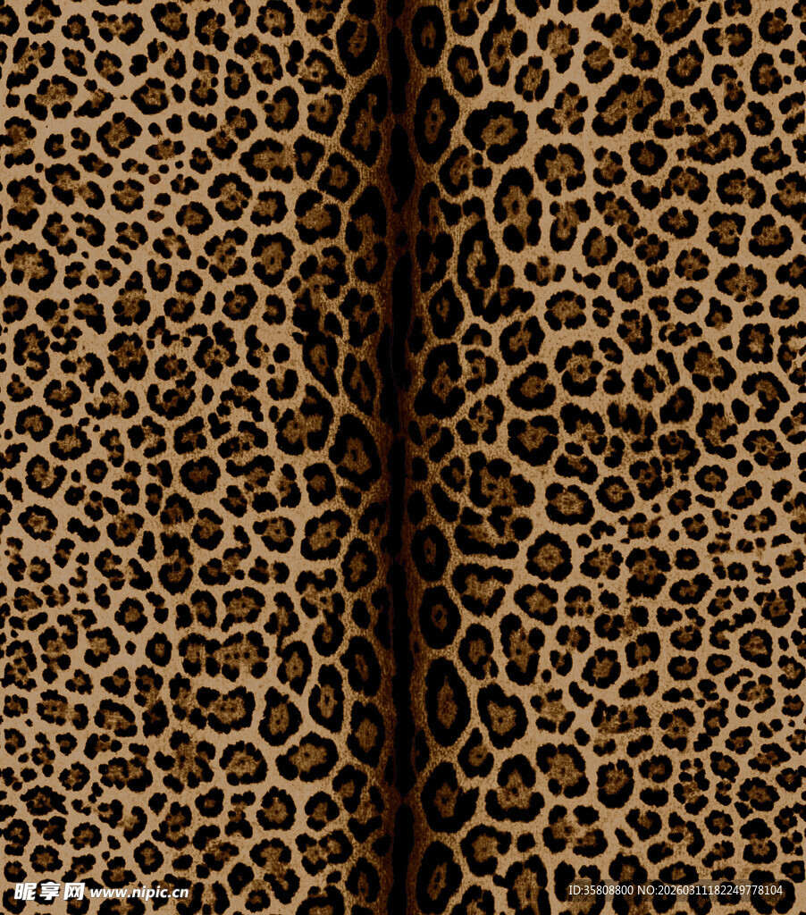 豹纹皮革纹理特写