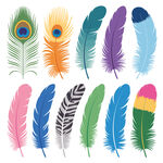 多彩羽毛集合