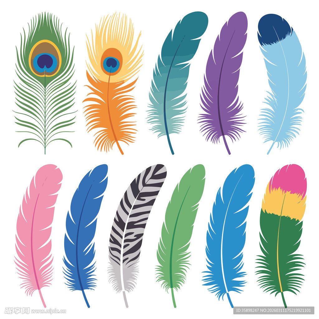 多彩羽毛集合