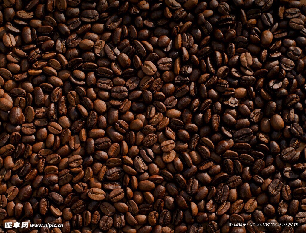 饱满咖啡豆特写