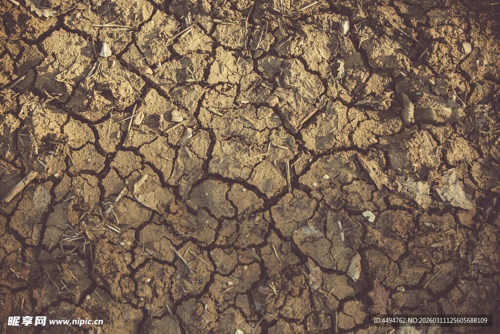 干裂的大地